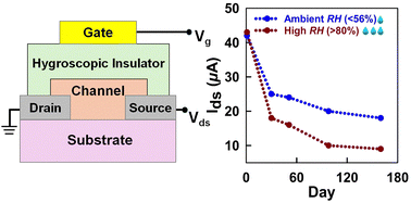 Graphical abstract: Stability of low voltage hygroscopic insulator P3HT transistors