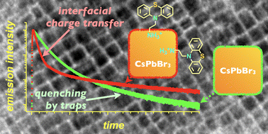 Graphical abstract: Dual benefits from “wiring” charge-transfer moieties to perovskite surfaces