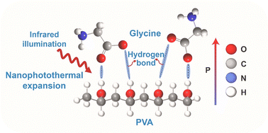Graphical abstract: Infrared photothermal enhancement of piezoelectricity in γ-glycine/PVA films via targeted interfacial hydrogen bond engineering