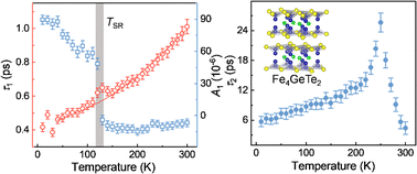 Graphical abstract: Ultrafast carrier and coherent phonon dynamics in van der Waals metallic ferromagnet Fe4GeTe2