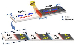 Graphical abstract: A new Te/Ag planar heterojunction device based on screen printing for boosting photothermoelectric performance and heat-source-free non-contact sensing