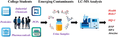Graphical abstract: What emerging contaminants are in the urine of college students and what are their associated risks? analysis method development and applications