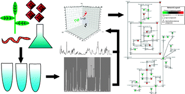 Graphical abstract: Metabolomics and its application to studying metal toxicity