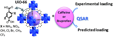 Graphical abstract: Rationalization of the entrapping of bioactive molecules into a series of functionalized porous zirconium terephthalate MOFs