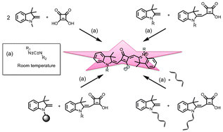 Graphical abstract: Synthesis of squaraine dyes under mild conditions: applications for labelling and sensing of biomolecules