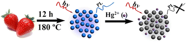 Graphical abstract: One-pot green synthesis of nitrogen-doped carbon nanoparticles as fluorescent probes for mercury ions