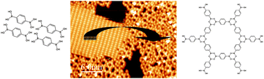 Graphical abstract: Growth of boronic acid based two-dimensional covalent networks on a metal surface under ultrahigh vacuum