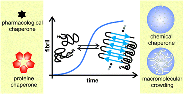 Graphical abstract: Modulation of human IAPP fibrillation: cosolutes, crowders and chaperones