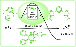 Graphical abstract: Non-heme iron catalysts for epoxidation and aziridination reactions of challenging terminal alkenes: towards sustainability