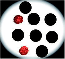 Graphical abstract: Direct analysis of dried blood spots by femtosecond-laser ablation-inductively coupled plasma-mass spectrometry. Feasibility of split-flow laser ablation for simultaneous trace element and isotopic analysis