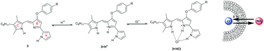 Graphical abstract: Influence of B-ring modifications on proton affinity, transmembrane anion transport and anti-cancer properties of synthetic prodigiosenes