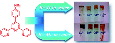 Graphical abstract: Transition metal ion induced hydrogelation by amino-terpyridine ligands