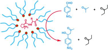 Graphical abstract: Interfacial catalysis of aldol reactions by prolinamide surfactants in reverse micelles