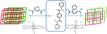 Graphical abstract: Amide-containing zinc(ii) metal–organic layered networks: a structure–CO2 capture relationship