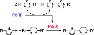 Graphical abstract: Mechanistic studies and optimisation of a Pd-catalysed direct arylation reaction using phosphine-free systems