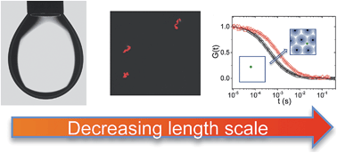 Graphical abstract: A multiscale approach to the adsorption of core–shell nanoparticles at fluid interfaces