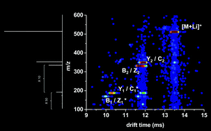 Graphical abstract: Investigating carbohydrate isomers by IMS-CID-IMS-MS: precursor and fragment ion cross-sections