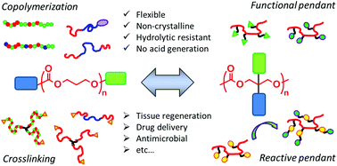 Graphical abstract: Poly(trimethylene carbonate)-based polymers engineered for biodegradable functional biomaterials