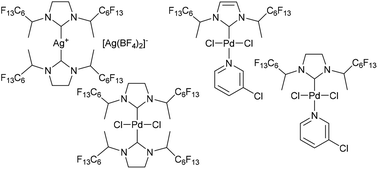 Graphical abstract: Transition metal complexes bearing NHC ligands substituted with secondary polyfluoroalkyl groups