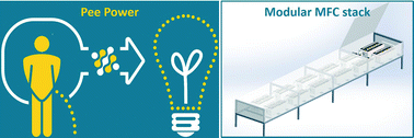 Graphical abstract: Pee power urinal – microbial fuel cell technology field trials in the context of sanitation