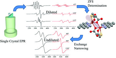 Graphical abstract: Transition from isolated to interacting copper(ii) pairs in extended lattices evaluated by single crystal EPR spectroscopy