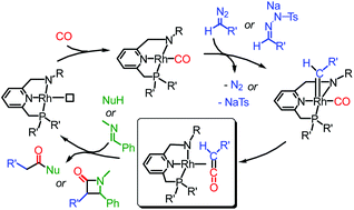 Graphical abstract: Rhodium catalysed conversion of carbenes into ketenes and ketene imines using PNN pincer complexes