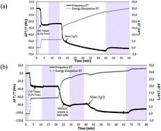 Graphical abstract: Nisin anchored cellulose nanofibers for long term antimicrobial active food packaging