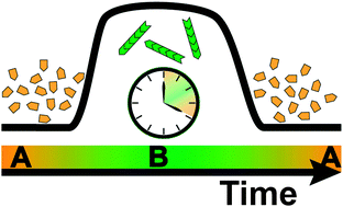 Graphical abstract: Celebrating Soft Matter's 10th Anniversary: Approaches to program the time domain of self-assemblies