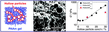 Graphical abstract: Composite hydrogels of polyacrylamide and crosslinked pH-responsive micrometer-sized hollow particles