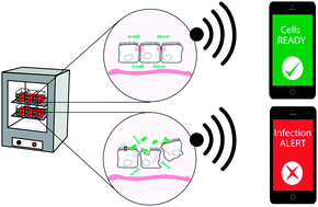 Graphical abstract: Organic bioelectronics in infection