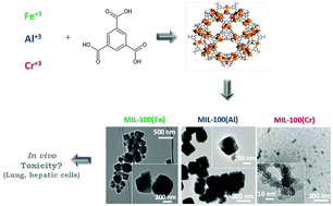 Graphical abstract: In vitro biocompatibility of mesoporous metal (III; Fe, Al, Cr) trimesate MOF nanocarriers