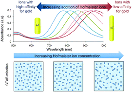 Graphical abstract: Fine-tuning of gold nanorod dimensions and plasmonic properties using the Hofmeister effects