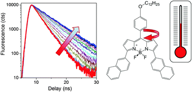 Graphical abstract: Tuning BODIPY molecular rotors into the red: sensitivity to viscosity vs. temperature