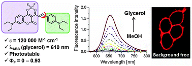 Graphical abstract: Push–pull dioxaborine as fluorescent molecular rotor: far-red fluorogenic probe for ligand–receptor interactions