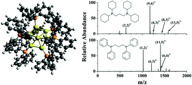 Graphical abstract: Understanding ligand effects in gold clusters using mass spectrometry