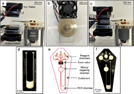 Graphical abstract: A rotationally-driven polyethylene terephthalate microdevice with integrated reagent mixing for multiplexed PCR amplification of DNA