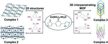 Graphical abstract: Two- and three-dimensional Zn(ii) coordination polymers constructed from mixed ligand systems: interpenetration, structural transformation and sensing behavior