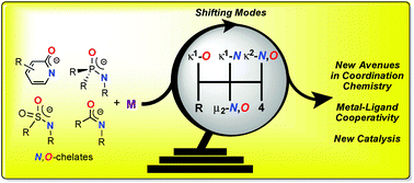 Graphical abstract: 1,3-N,O-Complexes of late transition metals. Ligands with flexible bonding modes and reaction profiles