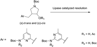 Graphical abstract: Enantioselective chemoenzymatic synthesis of a key segment of neuronal nitric oxide synthase inhibitors and several related 3-aminopyridinylmethyl-4-hydroxypyrrolidines