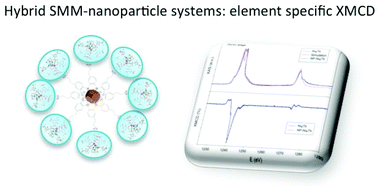 Graphical abstract: Hybrid molecular-inorganic materials: a heterometallic [Ni4Tb] complex grafted on superparamagnetic iron oxide nanoparticles