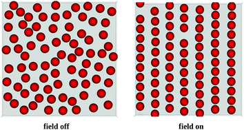 Graphical abstract: Controlled capillary assembly of magnetic Janus particles at fluid–fluid interfaces