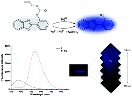 Graphical abstract: A two-photon ratiometric ESIPT probe for the discrimination of different palladium species and its application in bioimaging