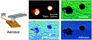 Graphical abstract: Nanoscale spectroscopic and mechanical characterization of individual aerosol particles using peak force infrared microscopy