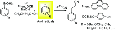 Graphical abstract: A strategy for generating aryl radicals from arylborates through organic photoredox catalysis: photo-Meerwein type arylation of electron-deficient alkenes