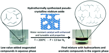 Graphical abstract: Upgrading of oxygenated compounds present in aqueous biomass-derived feedstocks over NbOx-based catalysts