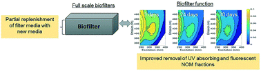 Graphical abstract: Partial renewal of granular activated carbon biofilters for improved drinking water treatment