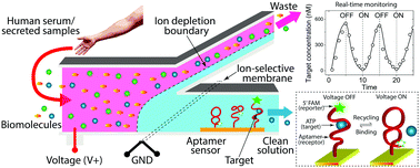 Graphical abstract: Buffer-free integrative nanofluidic device for real-time continuous flow bioassays by ion concentration polarization