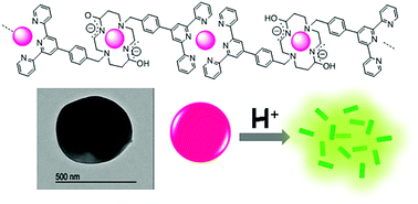 Graphical abstract: pH-Induced fragmentation of colloids based on responsive self-assembled copper(ii) metallopolymers