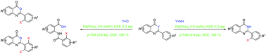 Graphical abstract: Pd-Catalyzed regioselective C–H halogenation of quinazolinones and benzoxazinones