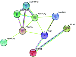 Graphical abstract: Antagonistic effects of selenium against necroptosis injury via adiponectin-necrotic pathway induced by cadmium in heart of chicken